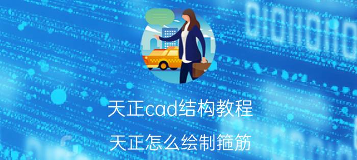 天正cad结构教程 天正怎么绘制箍筋？